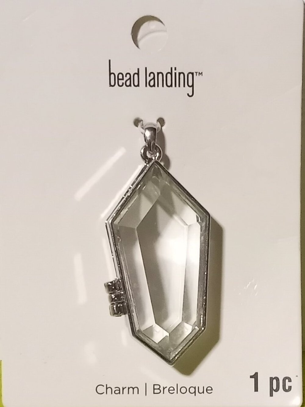 Glass Coffin Locket - Goth, Halloween